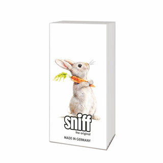 Rabbit with Carrot • Sniffs
