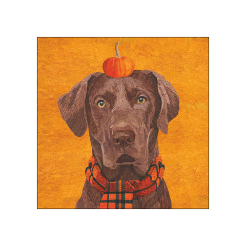 Brownie • Beverage Napkins