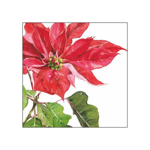 Poinsettia, rouge • Beverage Napkins