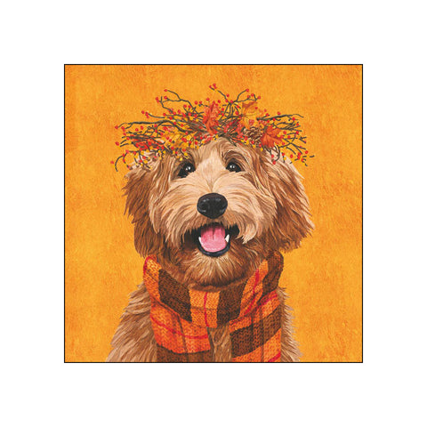 Dudley • Beverage Napkins