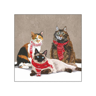 Scarf Cats • Beverage Napkins