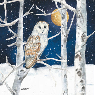 Winter Owl • Beverage Napkins