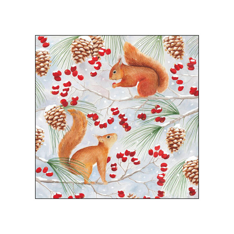 Squirrel Chat • Beverage Napkins