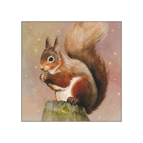 Judy • Beverage Napkins