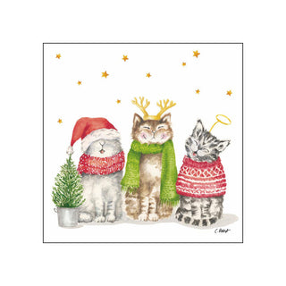 Sacred Cats • Beverage Napkins