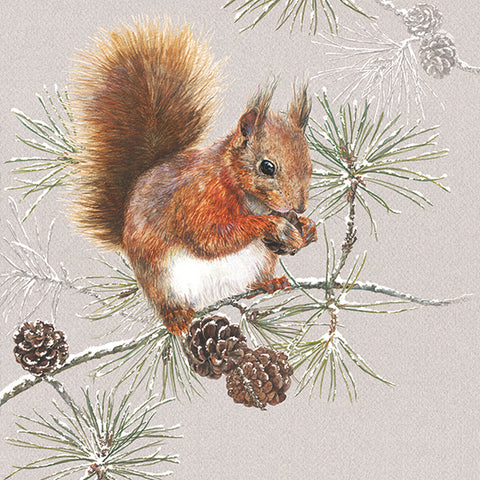 Squirrel in Winter • Beverage Napkins