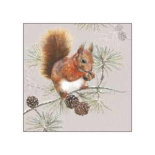 Squirrel in Winter • Beverage Napkins