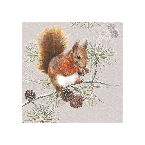 Squirrel in Winter • Beverage Napkins