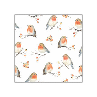 Robin Family • Beverage Napkins