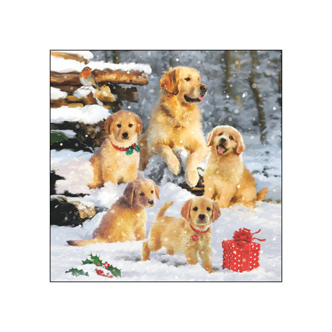 Golden Retriever Puppies • Beverage Napkins