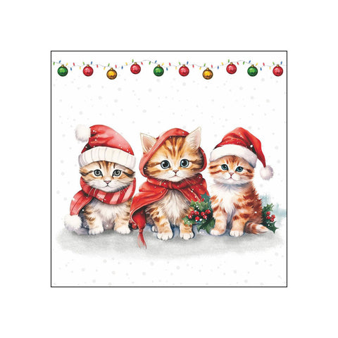 Funny, Cute Kittens • Beverage Napkins