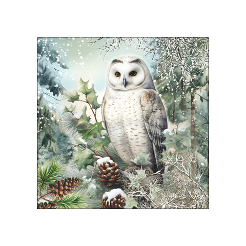 Snowy Owl • Beverage Napkins