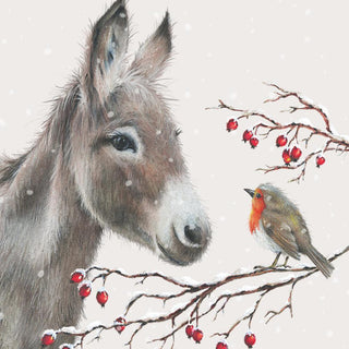 Donkey and Robin • Beverage Napkins