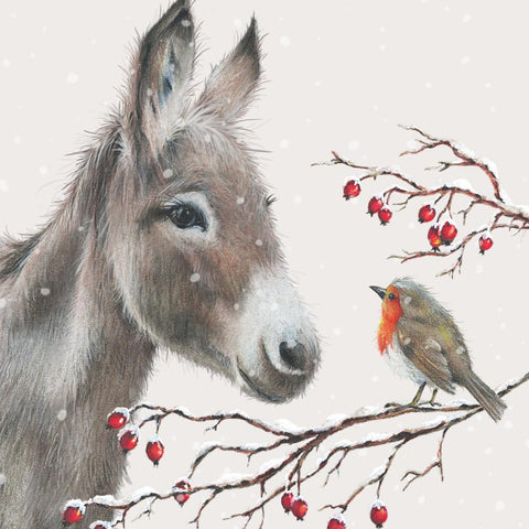 Donkey and Robin • Beverage Napkins