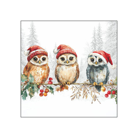 Wise Owls • Beverage Napkins