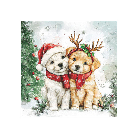 Cody & Buddy • Beverage Napkins