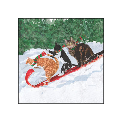 Tobogganing Cats • Beverage Napkins