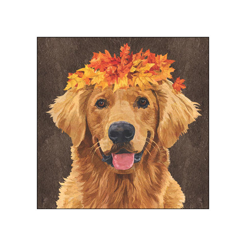Enzo • Beverage Napkins