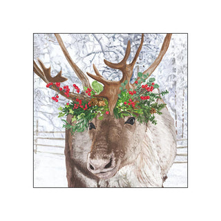 Blitzen • Beverage Napkins