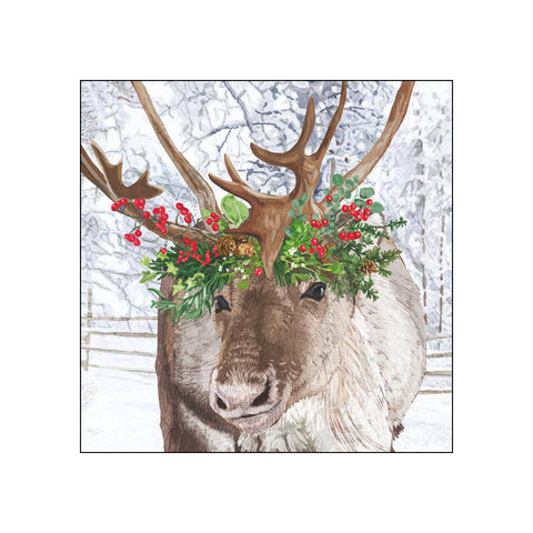 Blitzen • Beverage Napkins