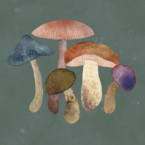 Mushroom Fantasy • Lunch Napkins