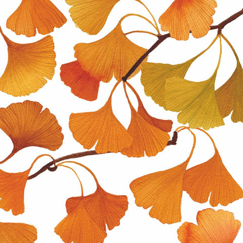 Gingko • Lunch Napkins