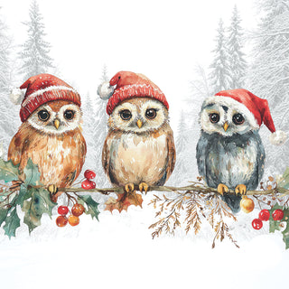 Wise Owls • Lunch Napkins