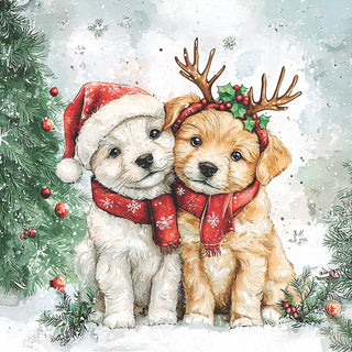 Cody & Buddy • Lunch Napkins