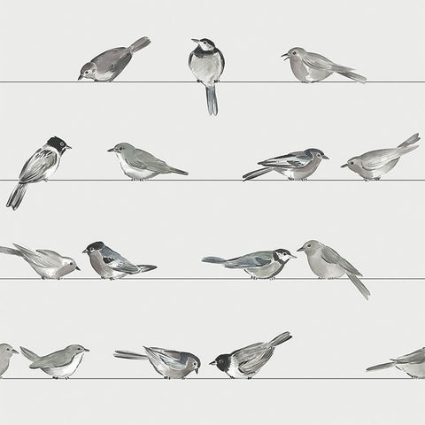 Birds Beverage Napkins
