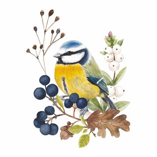 Oiseau en Nature Beverage Napkins