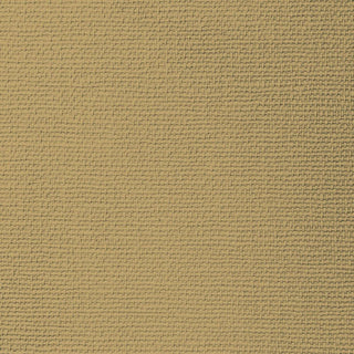 Canvas, gold embossed lunch napkin