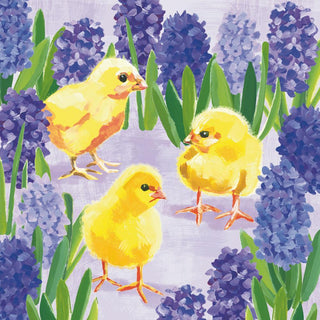 Chicks in Hyacinth
