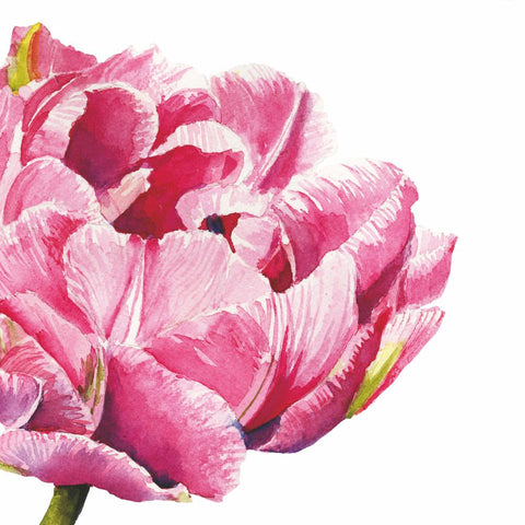 Pink Parrot Tulip Lunch Napkins