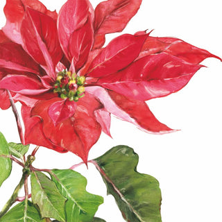 Poinsettia, rouge Beverage Napkins