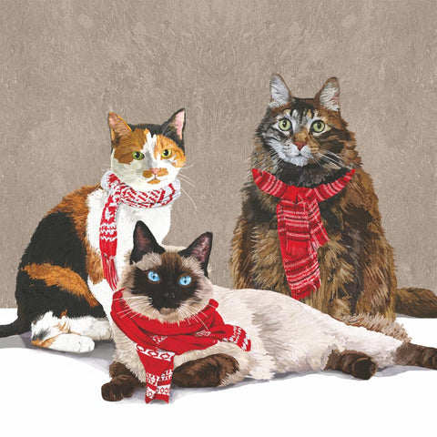 Scarf Cats Beverage Napkins